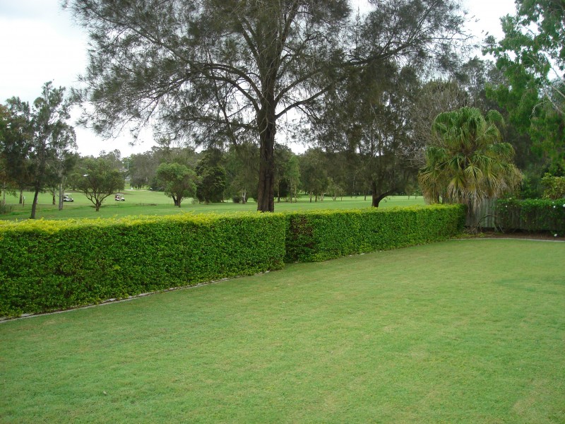 Mount Ommaney QLD 4074