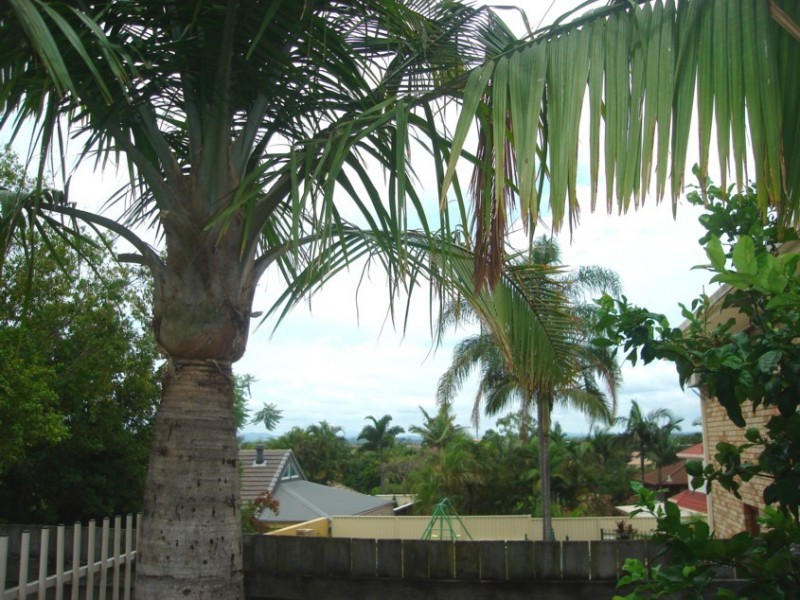 Mount Ommaney QLD 4074