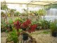 Middle Park QLD 4074
