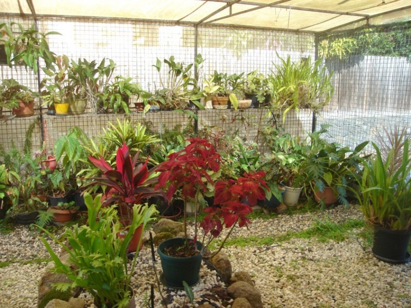 Middle Park QLD 4074