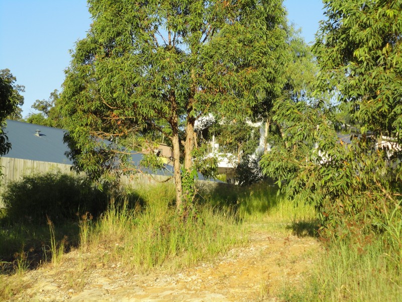 Seventeen Mile Rocks QLD 4073