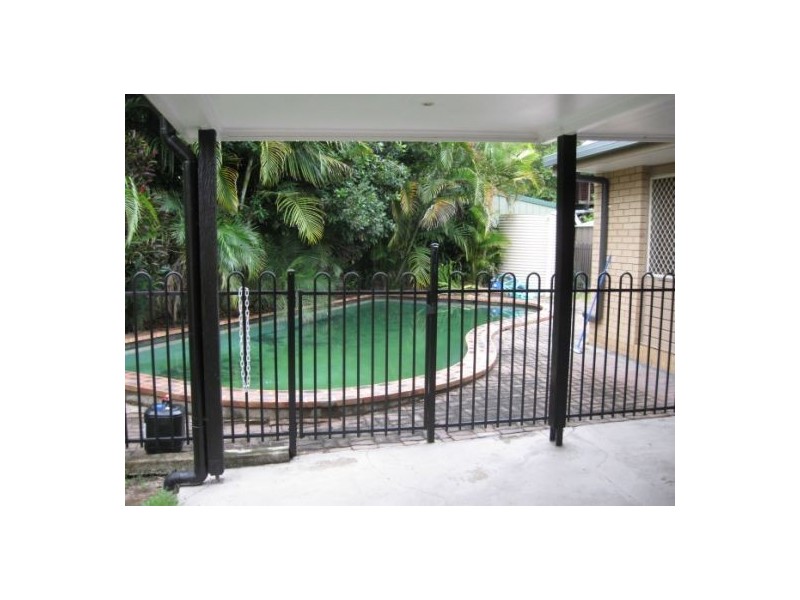 77 Brownie, Jamboree Heights QLD 4074