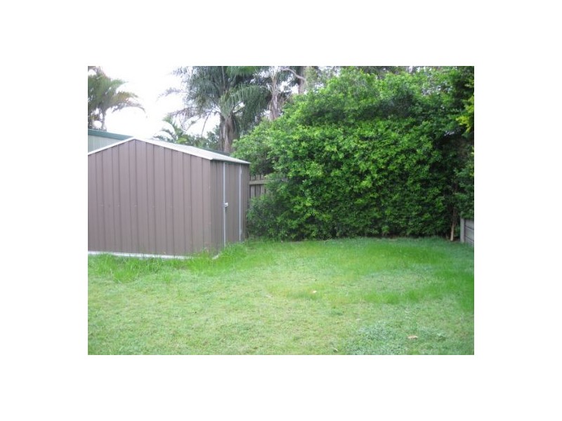 77 Brownie, Jamboree Heights QLD 4074