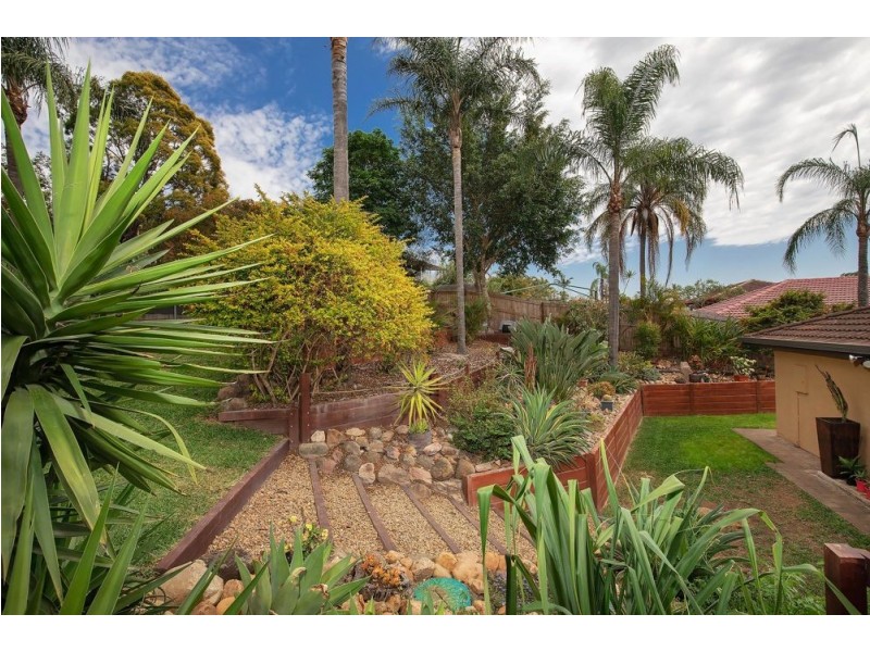 Jamboree Heights QLD 4074