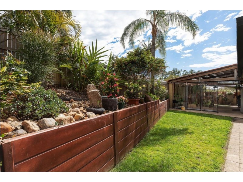 Jamboree Heights QLD 4074