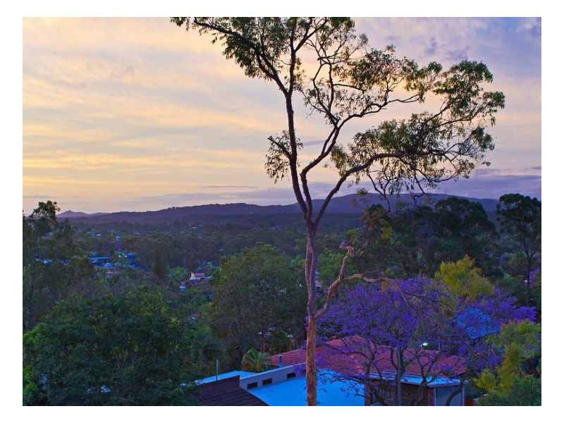 Jamboree Heights QLD 4074