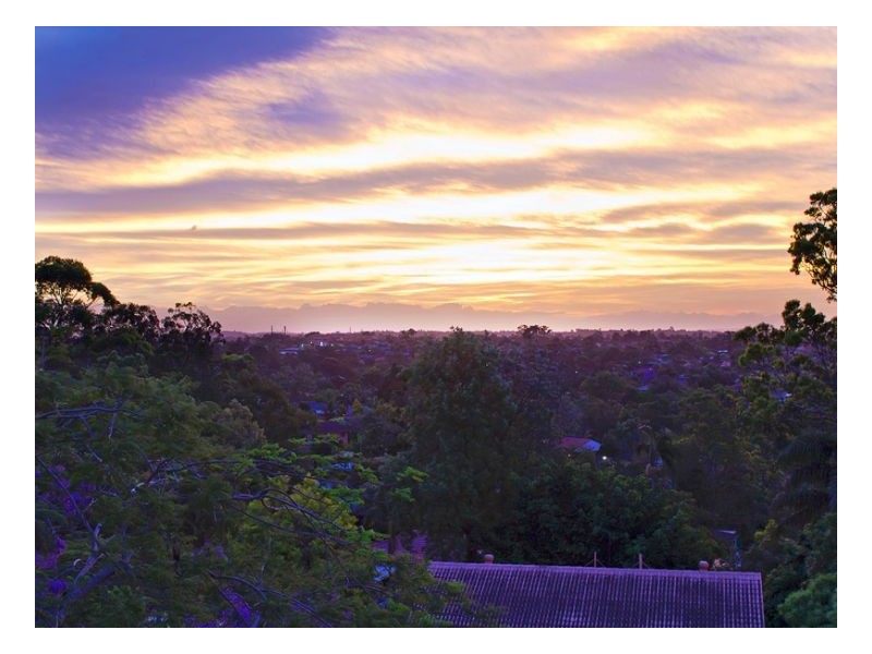 Jamboree Heights QLD 4074