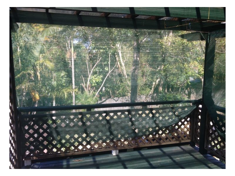 Jamboree Heights QLD 4074