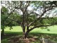 Jindalee QLD 4074