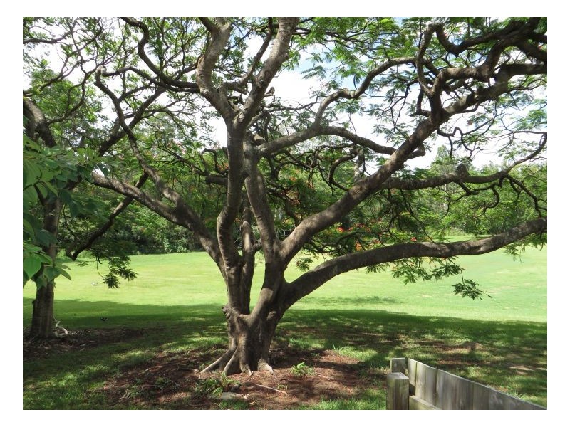 Jindalee QLD 4074