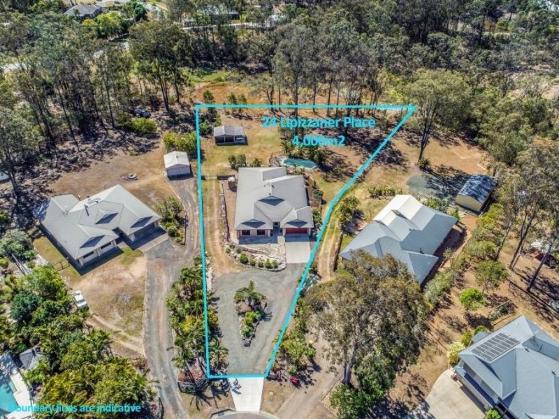 24 Lipizzaner Place, Pine Mountain QLD 4306