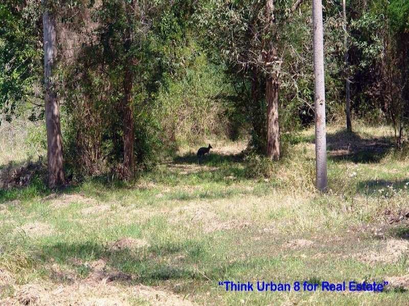 14 Wybelenna Street, Brookfield QLD 4069