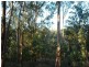 50 Parkwood Place, Anstead QLD 4070
