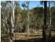 Lot 1 Winrock Street, Brookfield QLD 4069