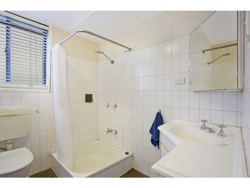 3/117 Macquarie Street, St Lucia QLD 4067
