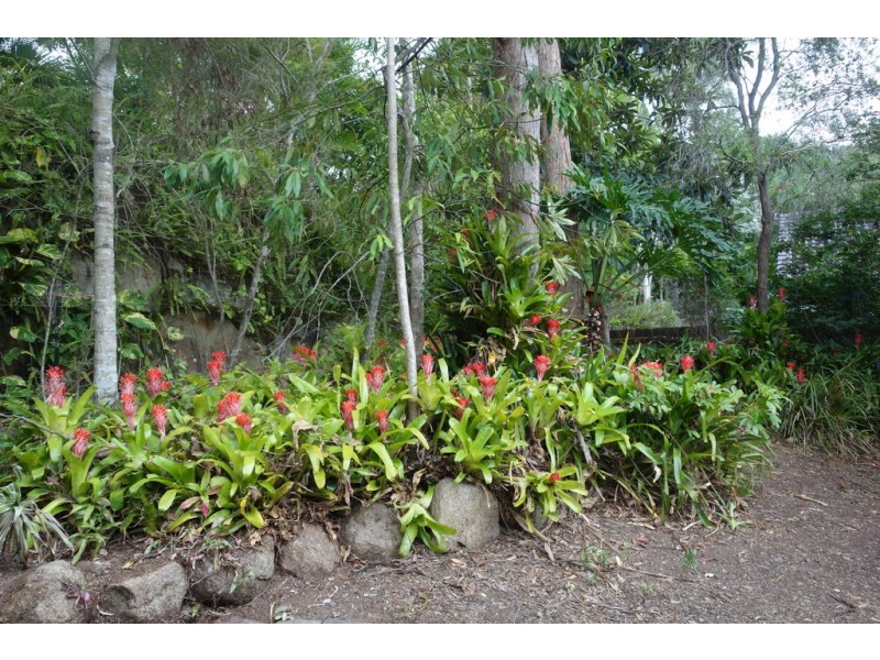 4 Nankoor St, Chapel Hill QLD 4069