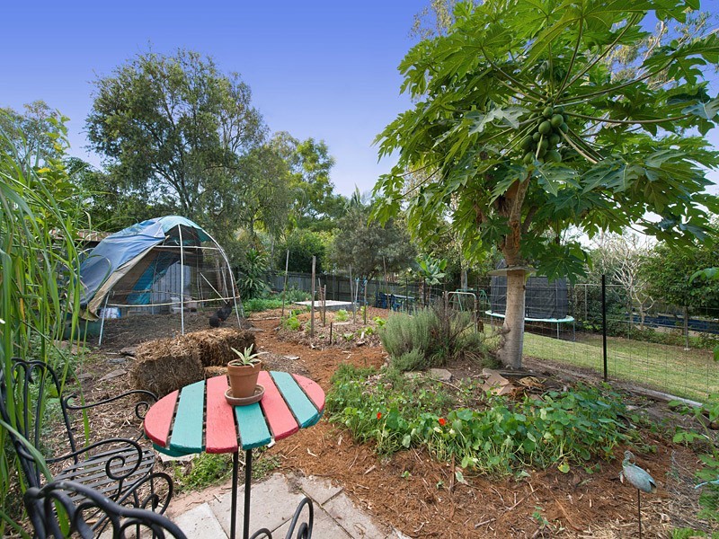 56 Barkala Street, The Gap QLD 4061