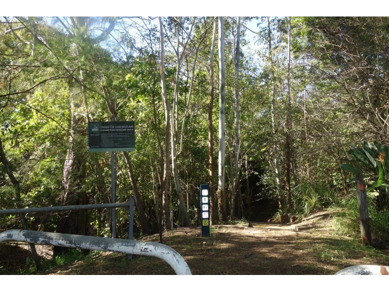 8 Luxford Street, Chelmer QLD 4068