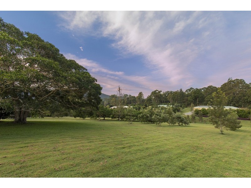 4 Tea Tree Close, Samford Valley QLD 4520