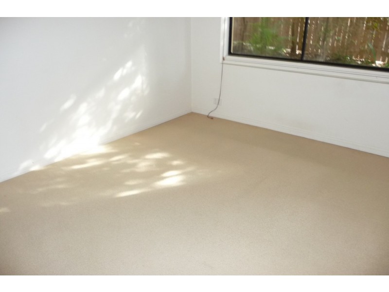 1/31 Sisley Street, St Lucia QLD 4067