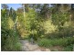 15 Amberelle Place, Chapel Hill QLD 4069