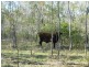 1 ISIS HIGHWAY, Dallarnil QLD 4621