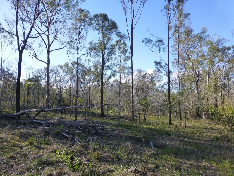 1 ISIS HIGHWAY, Dallarnil QLD 4621