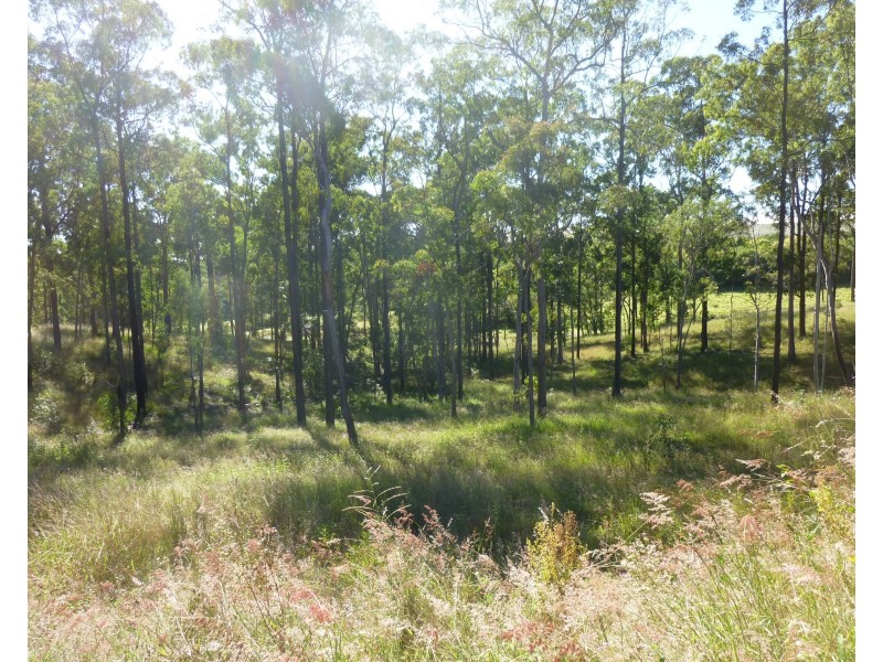 115 CHAPPELL HILLS ROAD, South Isis QLD 4660