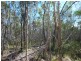 1575 BUXTON ROAD, Buxton QLD 4660