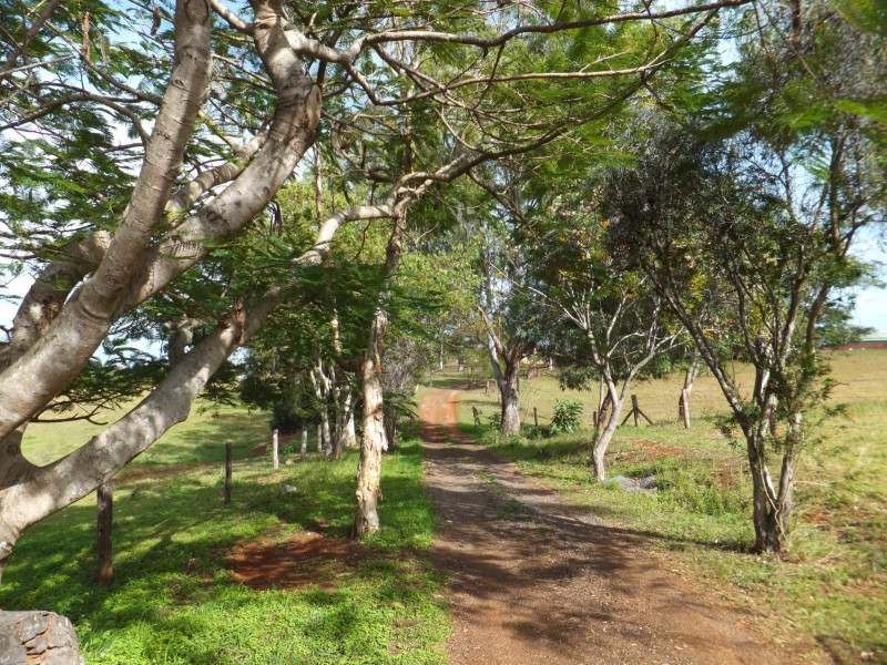 16 TAYLOR STREET, Childers QLD 4660