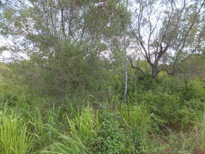 35 OLD CREEK ROAD, Childers QLD 4660