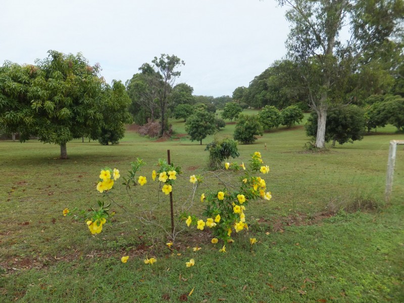 59 CSR DEPOT ROAD, Childers QLD 4660