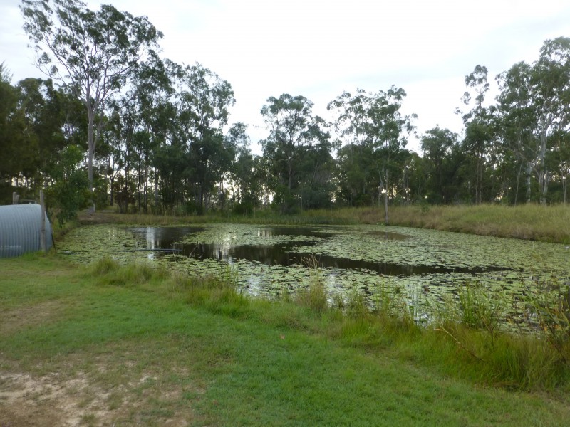 25 CORINGA HILLS ROAD, Coringa QLD 4621