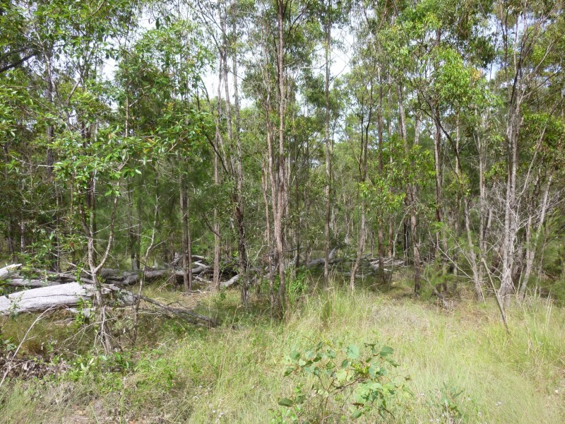 750 KNOCKROE ROAD, North Isis QLD 4660