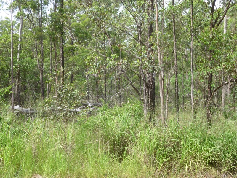 750 KNOCKROE ROAD, North Isis QLD 4660