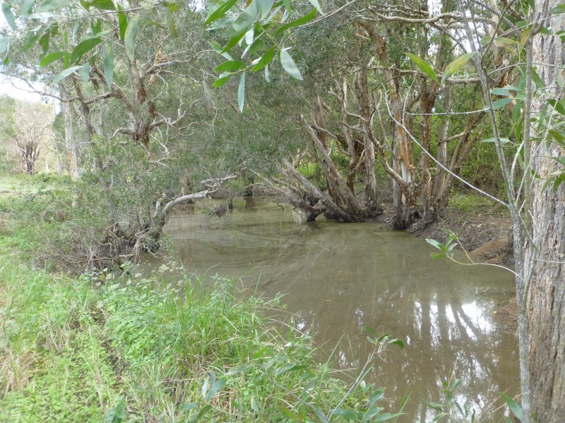 Apple Tree Creek QLD 4660