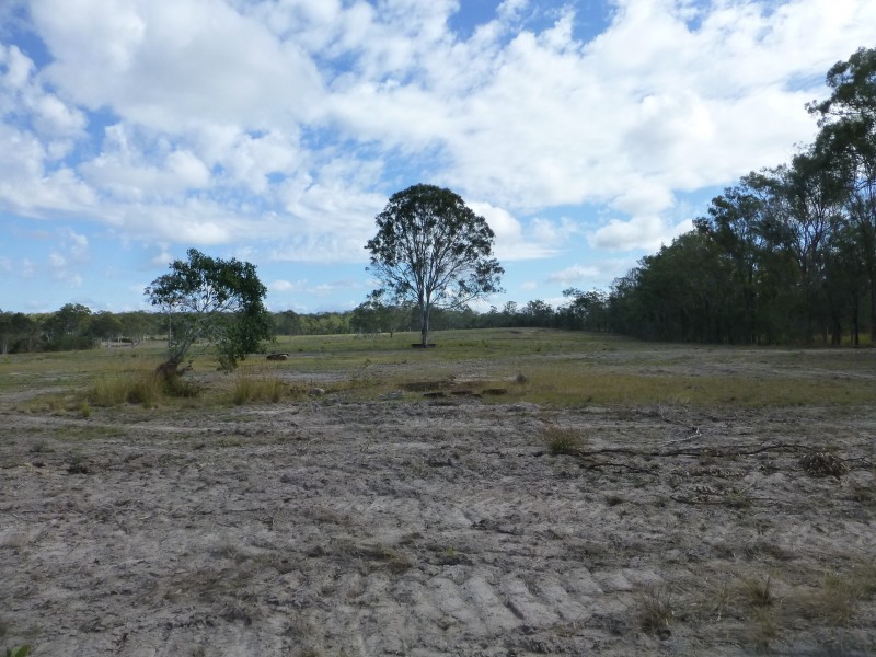 Apple Tree Creek QLD 4660