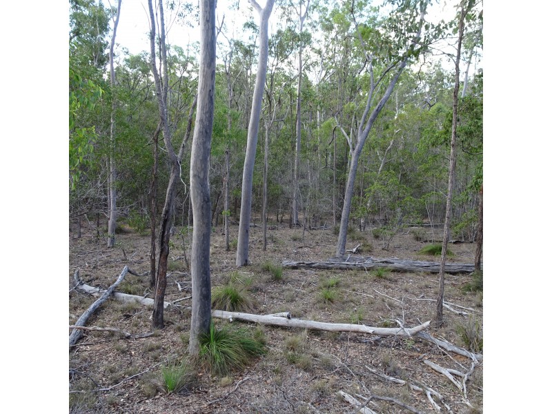 418 MARULE ROAD, Booyal QLD 4671