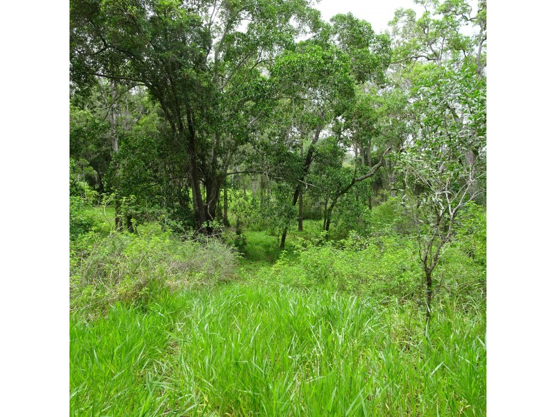 1518 BUXTON ROAD, Buxton QLD 4660