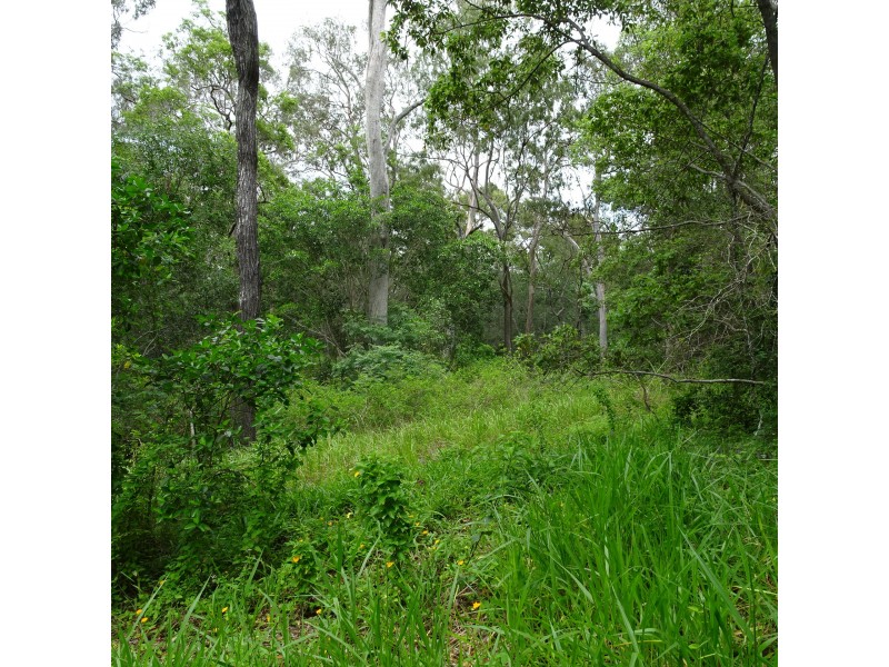 1518 BUXTON ROAD, Buxton QLD 4660