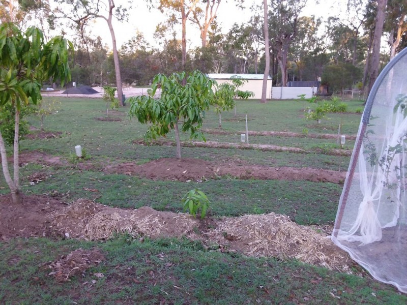 16 MELALEUCA COURT, Redridge QLD 4660