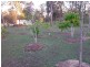 16 MELALEUCA COURT, Redridge QLD 4660