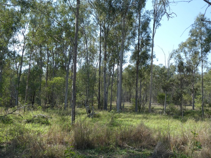 Gooroolba QLD 4625