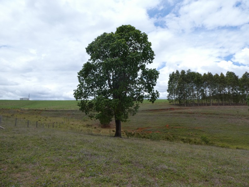 5 South Isis Road, South Isis QLD 4660