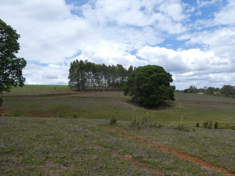 5 South Isis Road, South Isis QLD 4660