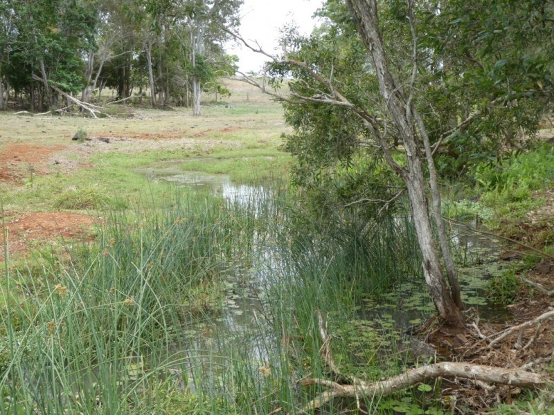 5 South Isis Road, South Isis QLD 4660