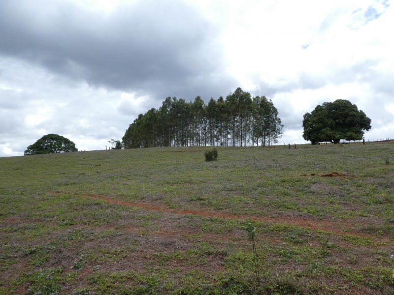 5 South Isis Road, South Isis QLD 4660