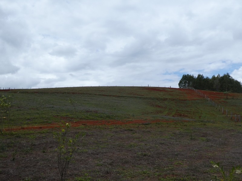 5 South Isis Road, South Isis QLD 4660