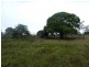 Pine Creek QLD 4670
