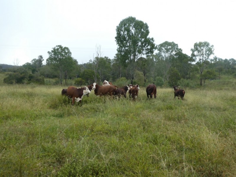 Pine Creek QLD 4670